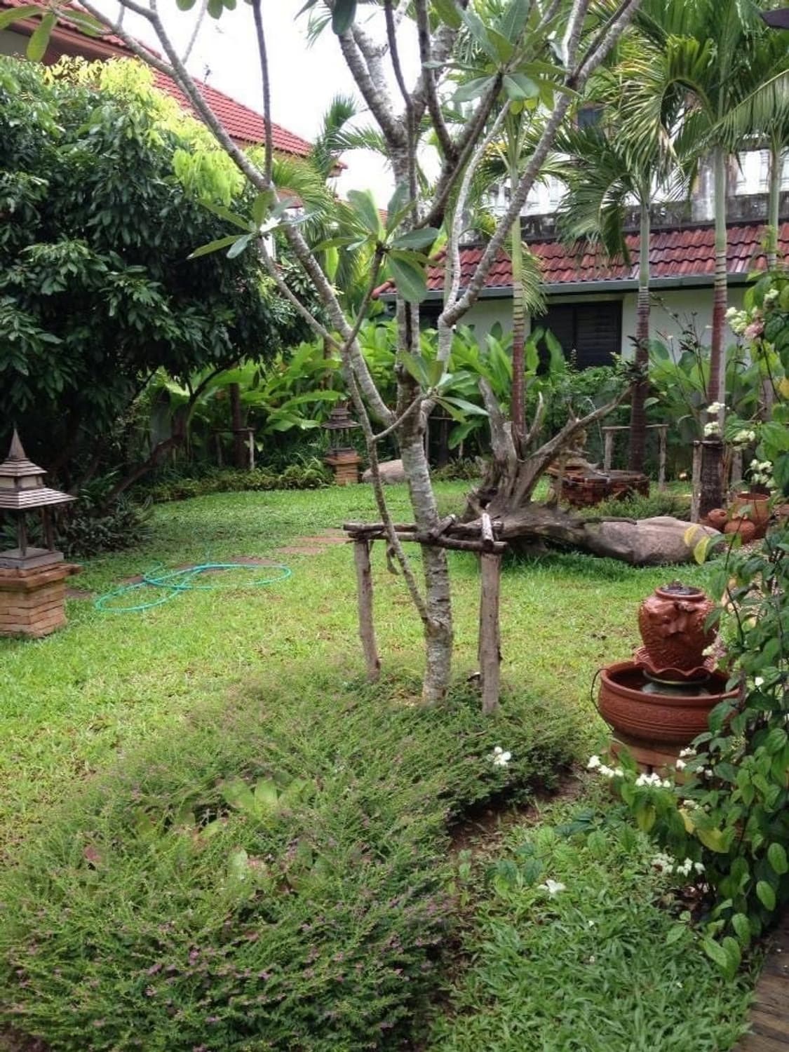 3 ห้องนอน บ้าน สำหรับ ขาย ใน San Sai - Image 7