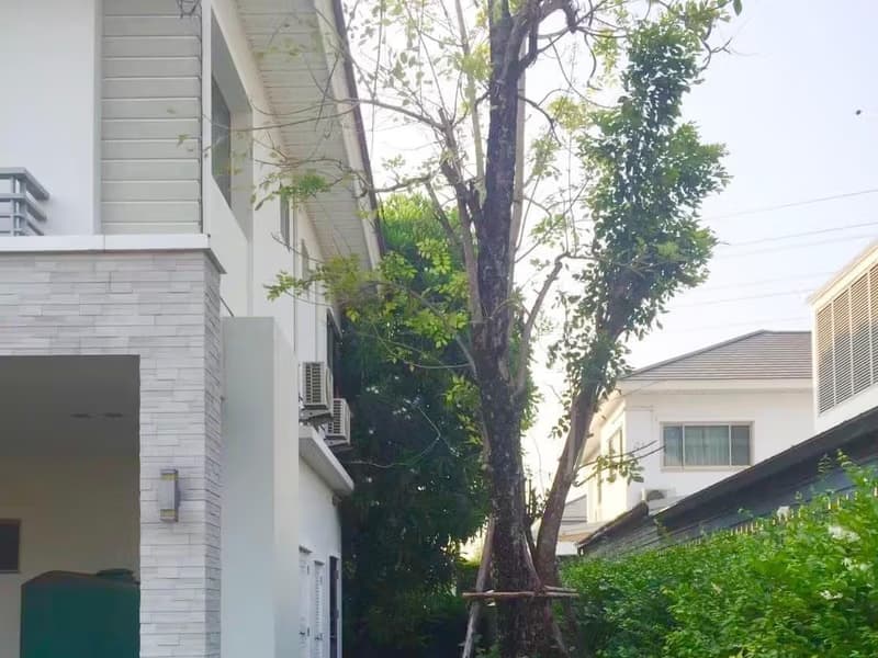 House for Sale at  Perfect Masterpeice Rama 9