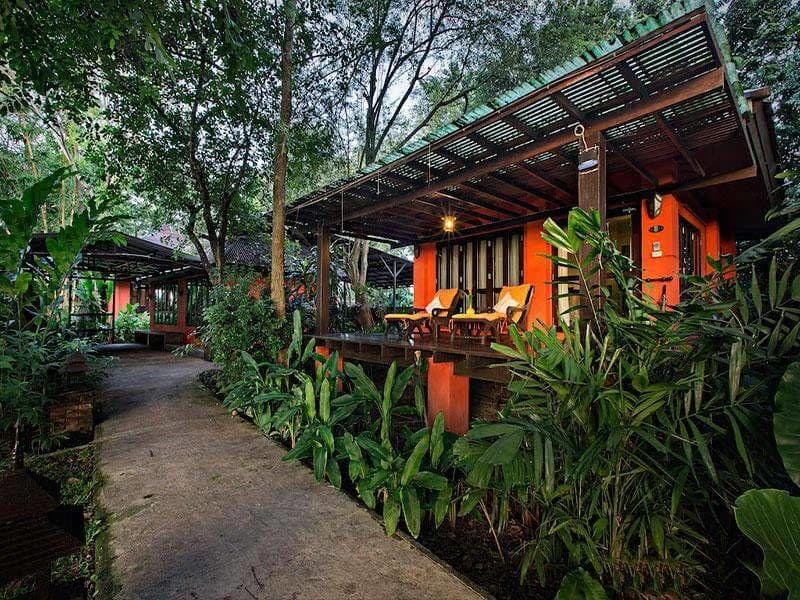20 Bed House for Rent and Sale in Saraphi