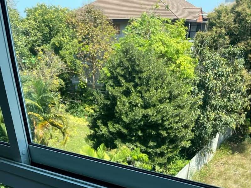 1 Bed Condo for Rent in Mueang Chiang Mai District