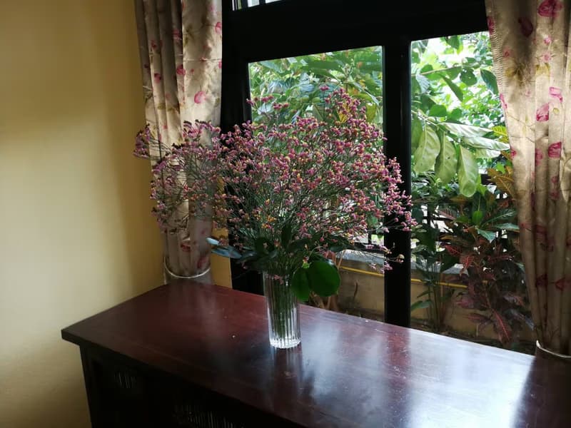 3 Bed House for Rent in Hang Dong