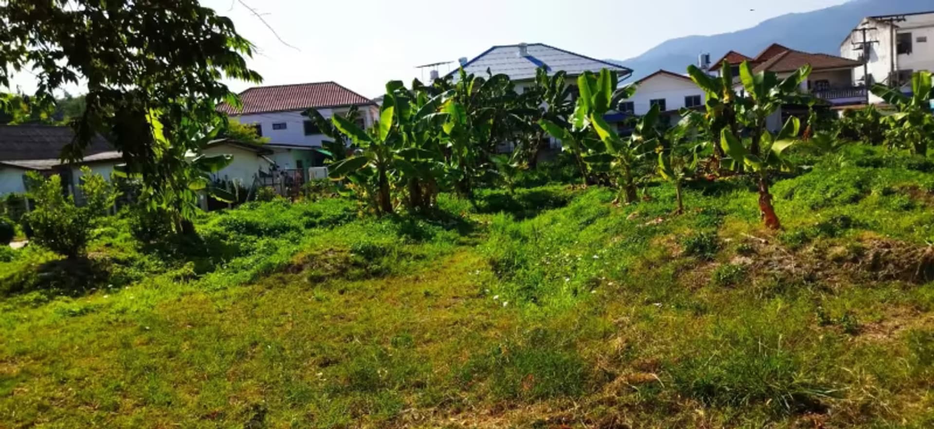 Land for Sale in  - Image 11