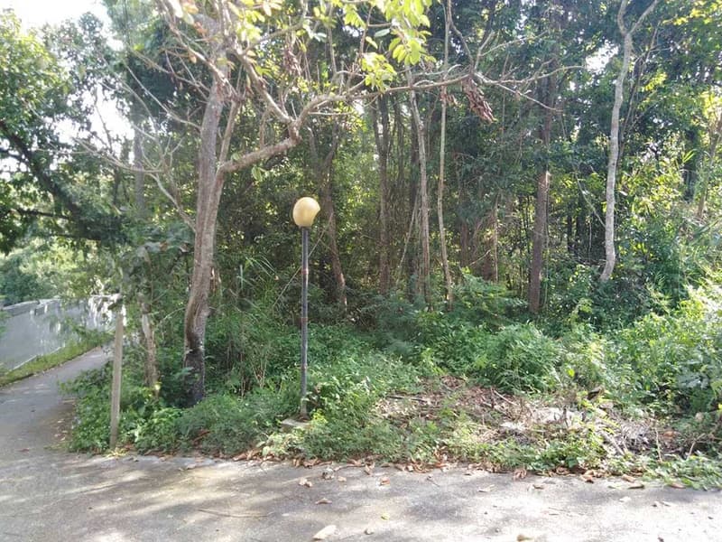 Code KRB8229 Perfect land for sale in Mae Rim