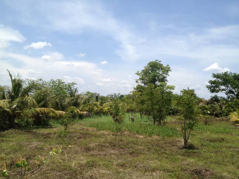  Land for Sale in Saraphi