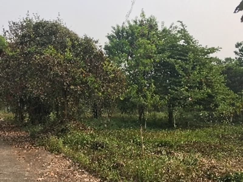 Code KRB8071 Corner land for sale