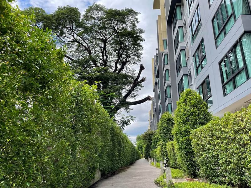 1 Bed Condo for Sale in Mueang Chiang Mai