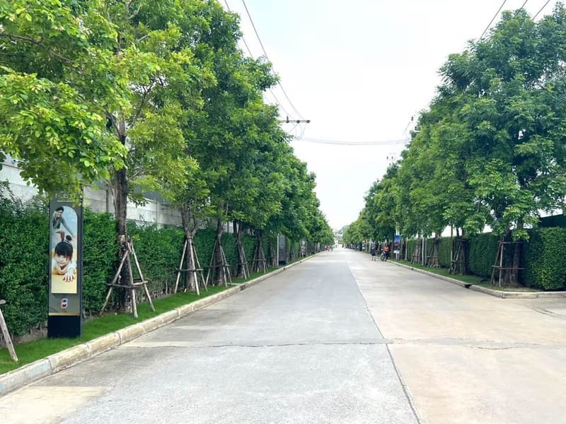 3 Bed Townhouse for Rent and Sale in Bang Phli