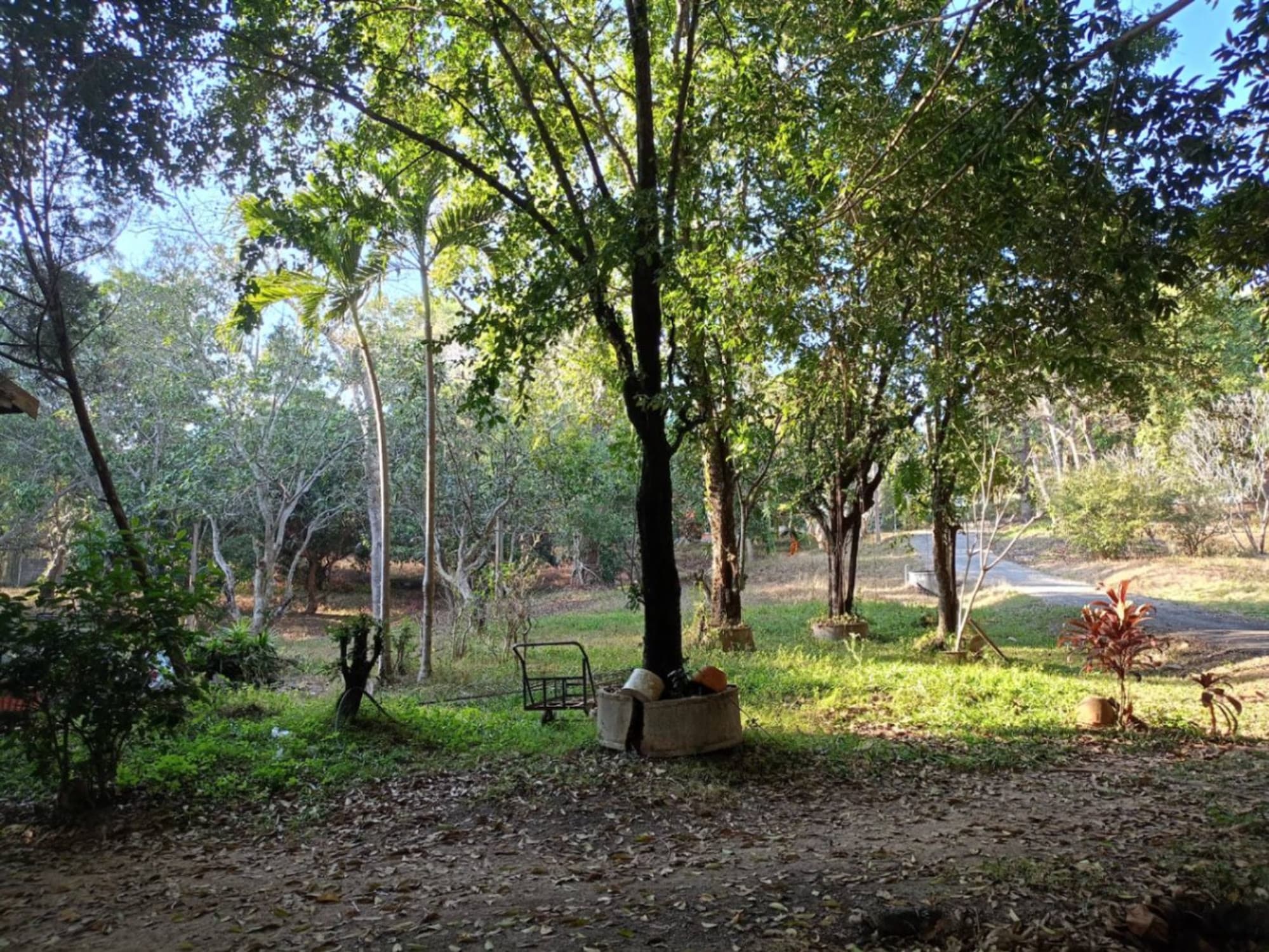 2 Bed House for Rent in Mae Rim District - Image 14