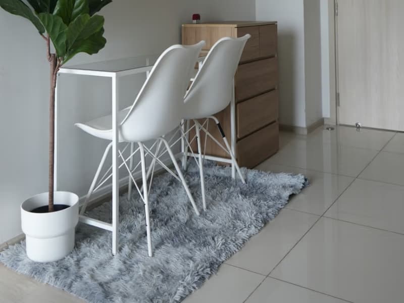 2 Bed Condo for Rent  Near Phloen Chit BTS