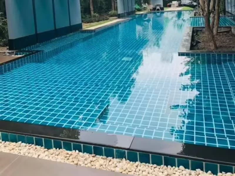 1 Bedroom Condo