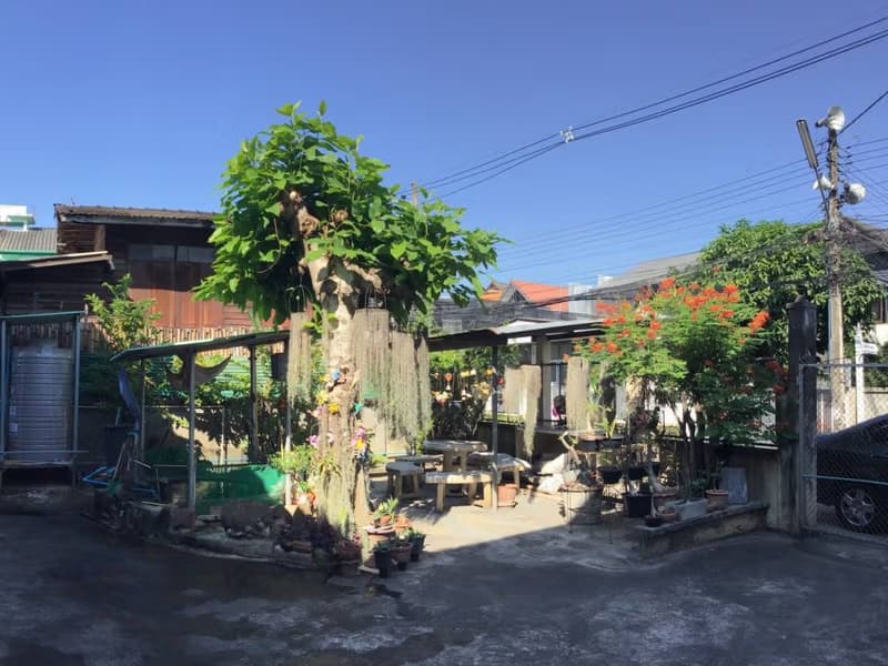 5 Bed House for Sale in Mueang Chiang Mai