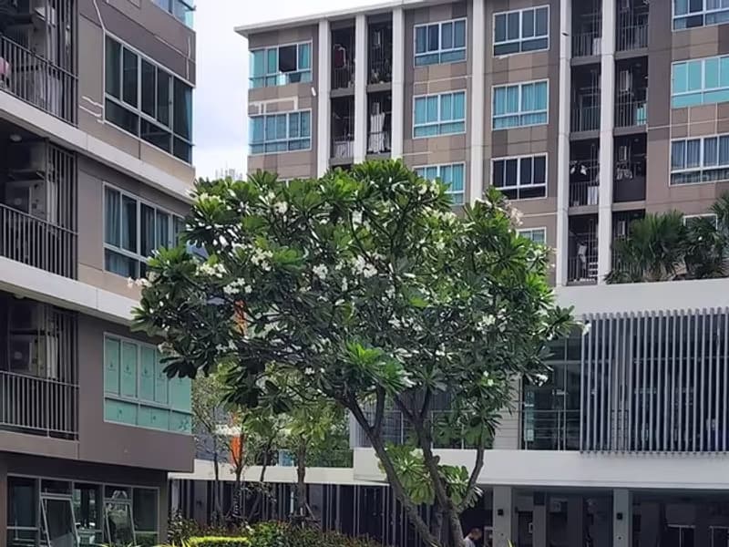 1 Bedroom Condo