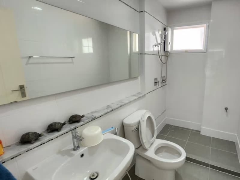 4 Bed House for Rent in Mueang Chiang Mai