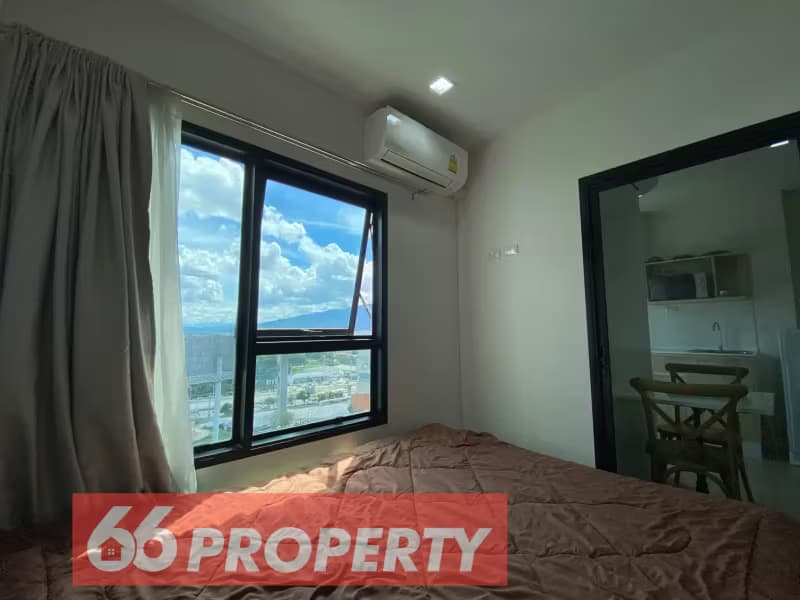 1 Bedroom Condo
