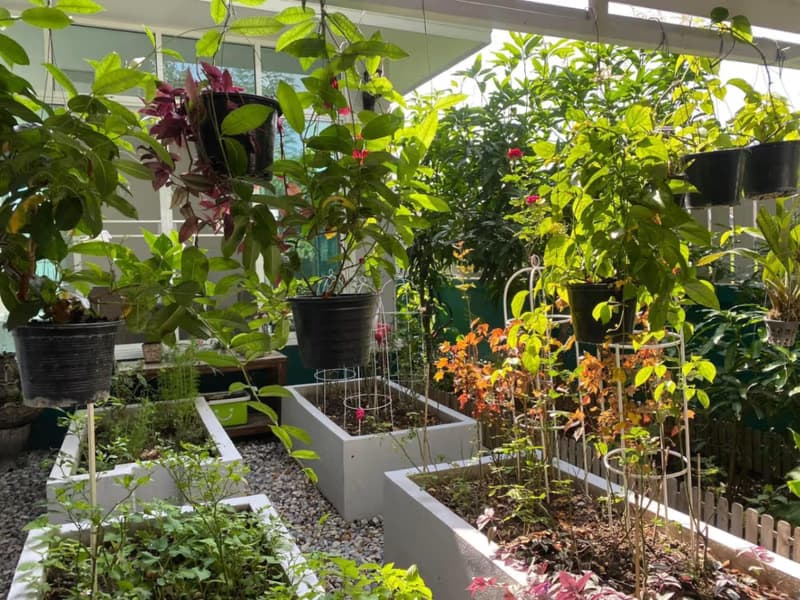 3 Bed House for Rent in San Sai District