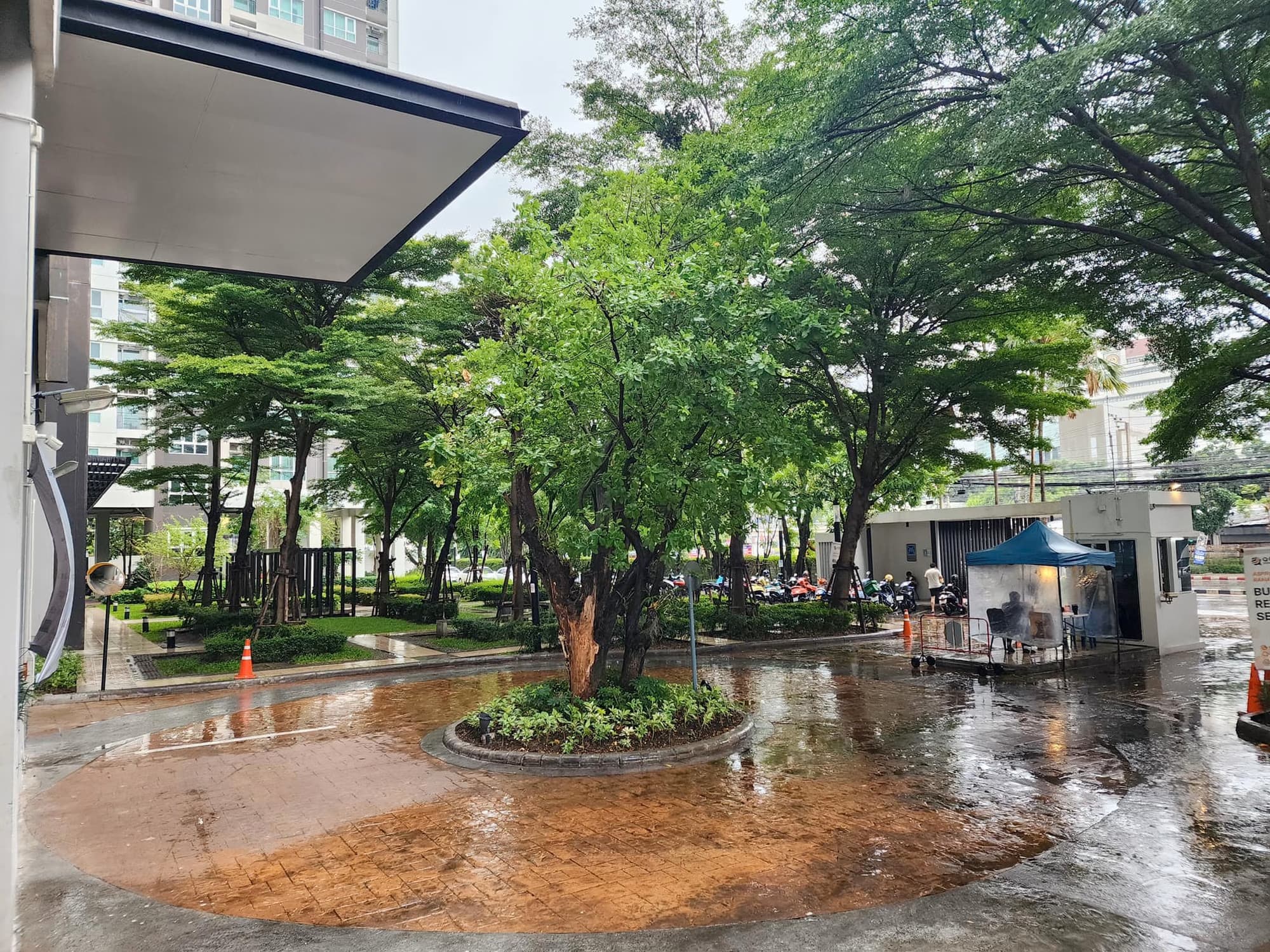1 ห้องนอน Condo สำหรับ ขาย ใน คลองเตย - Image 8