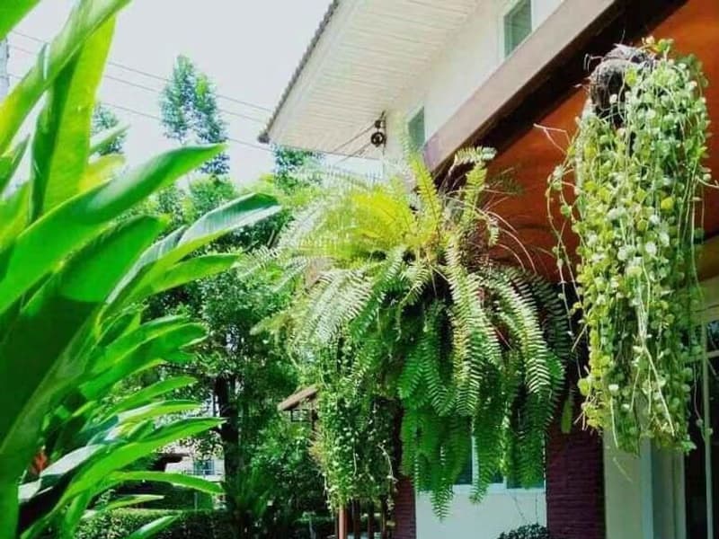 House for Sale in PrawetPrawet.  