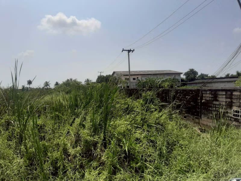  Land for Sale in Bang Bon