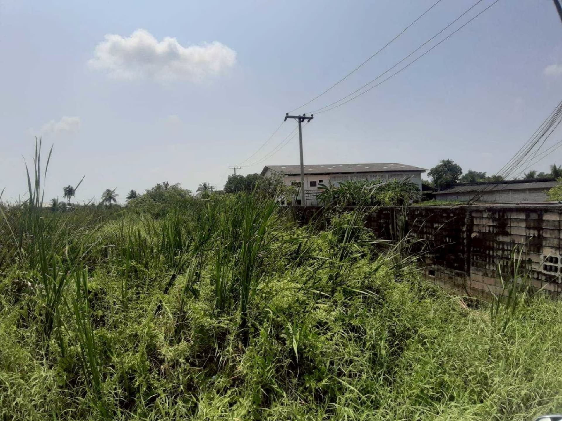  land สำหรับ ขาย ใน Bang Bon - Image 2