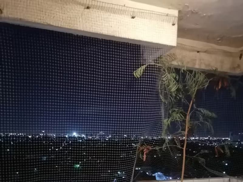 1 Bedroom Condo
