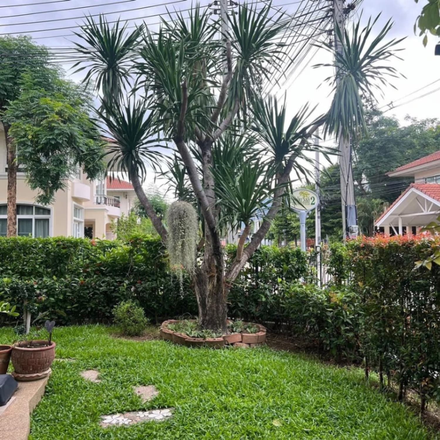 4 Bed House for Rent and Sale in Mueang Chiang Mai - Image 16