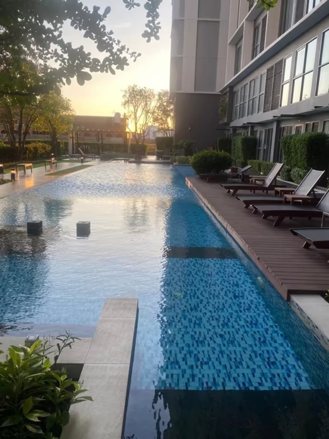 Condo for Sale at Ideo Mobi Sukhumvit 81 - Image 6