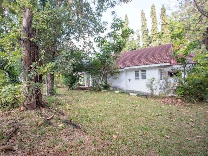  Land for Sale in Mueang Chiang Mai District