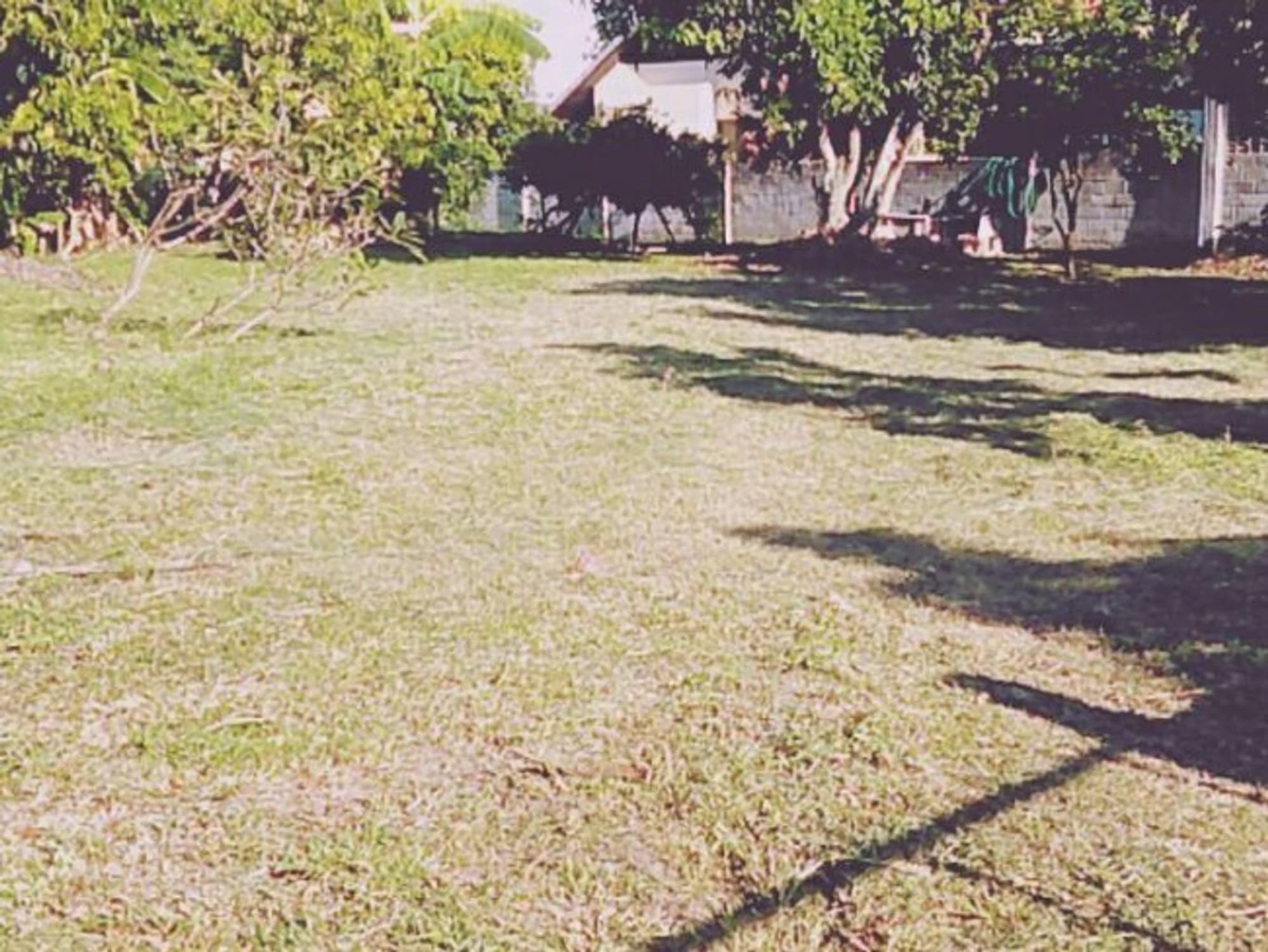  Land for Sale in Mueang Chiang Mai District - Image 2