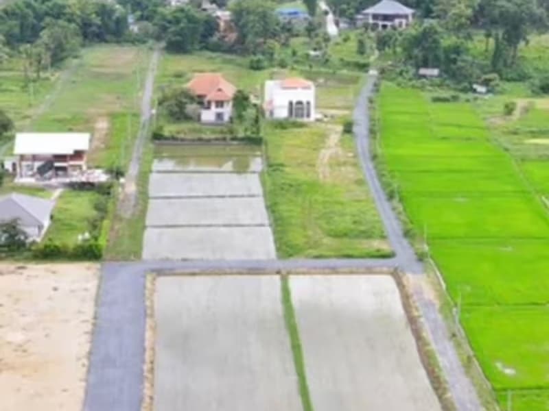 Feng-Shui Home
