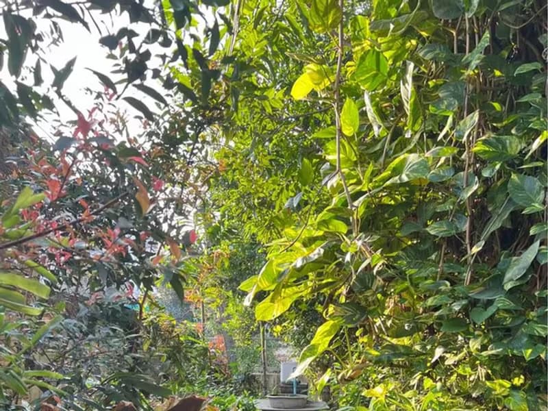 House for Sale in Nong Hoi, Mueang Chiang Mai.