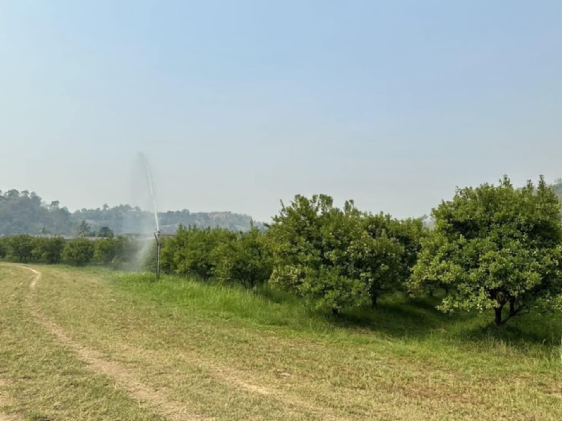  Land for Sale in Fang District - Image 20