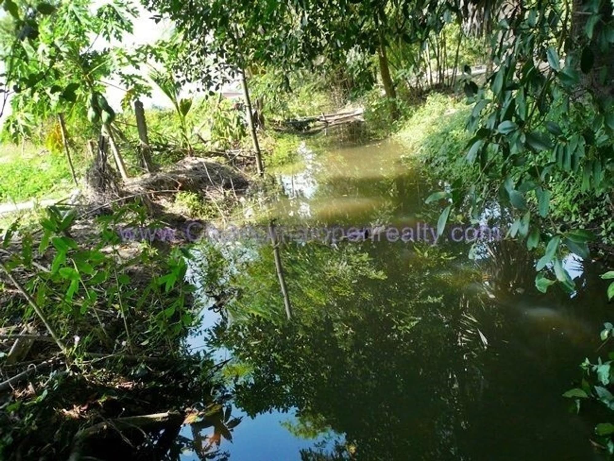  Land for Sale in Ban Na Doem District - Image 4