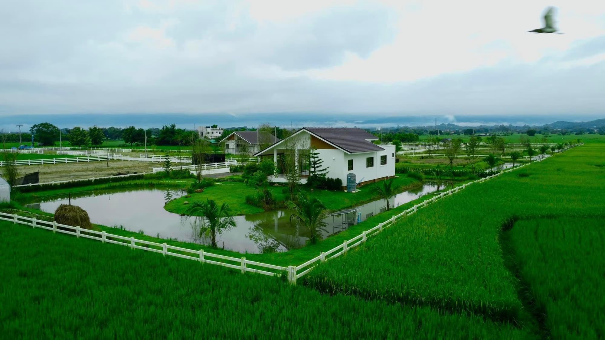 3 卧室 别墅 用于 出售 在 San Sai District - Image 4