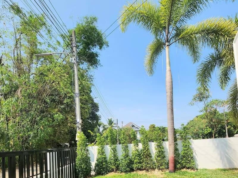 Nordic Style House for Rent in Nong Khwai