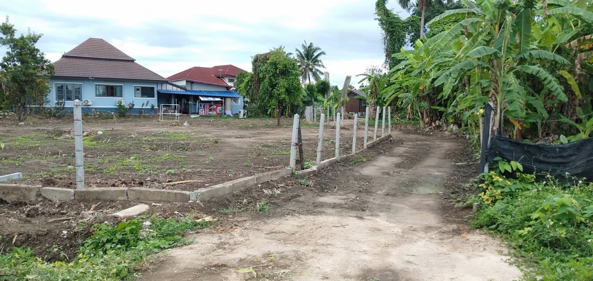  Land for Sale in San Sai - Image 4