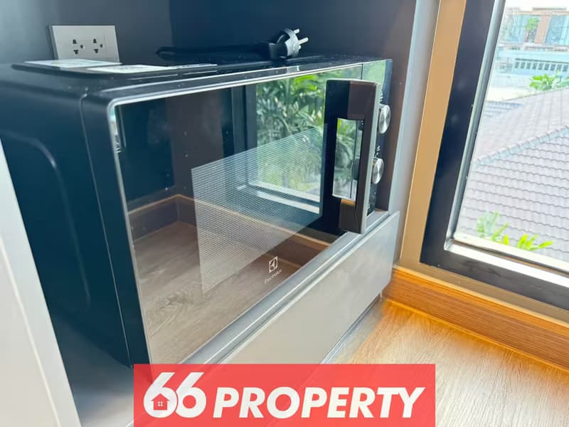 1 Bedroom Condo