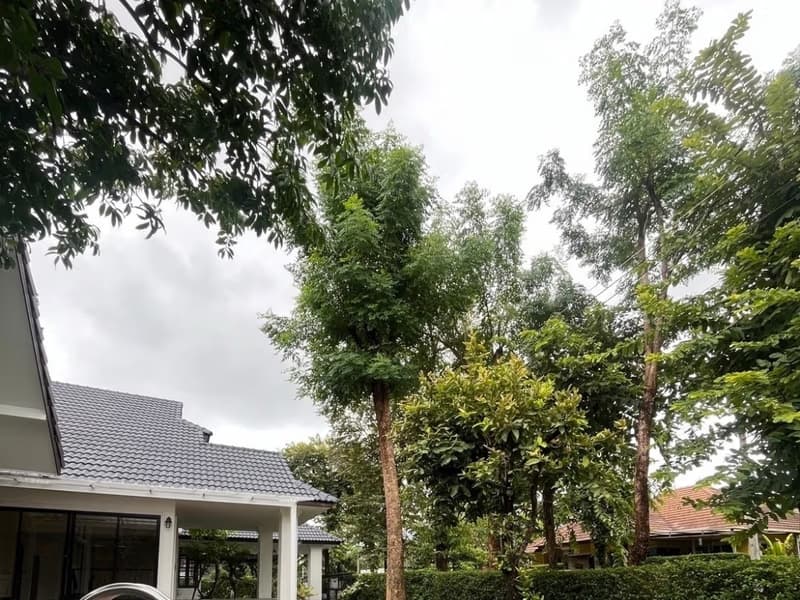 detached_house