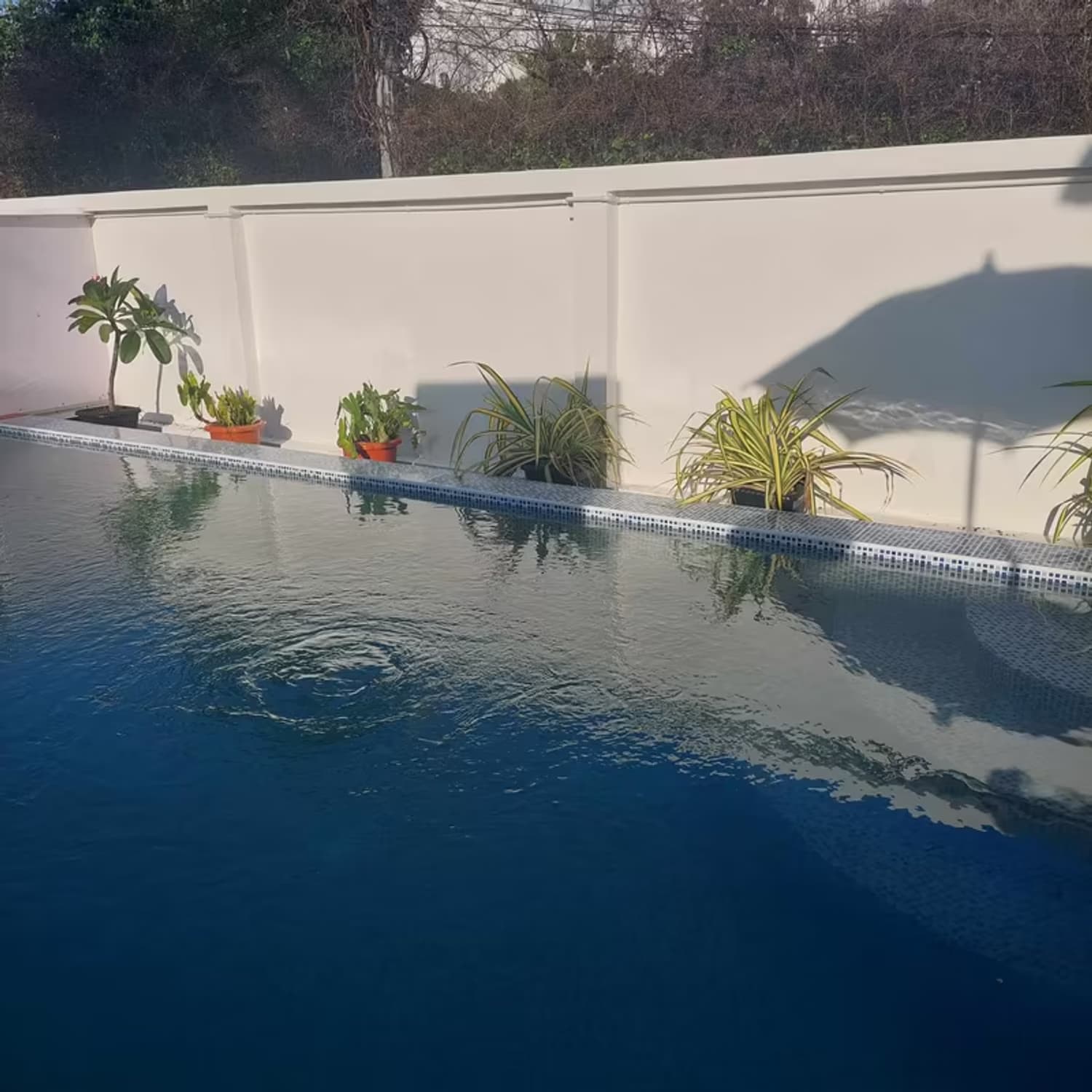 Pool Villa for Sale, Rent in Mueang Kaeo, Mae Rim. - Image 6