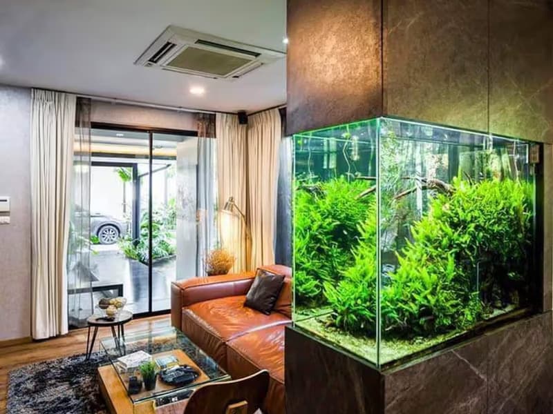 House for Sale in Ban Waen, Hang Dong.