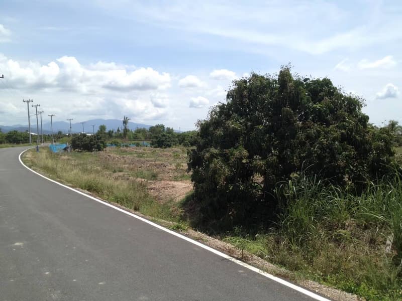  Land for Sale in Mae Wang District