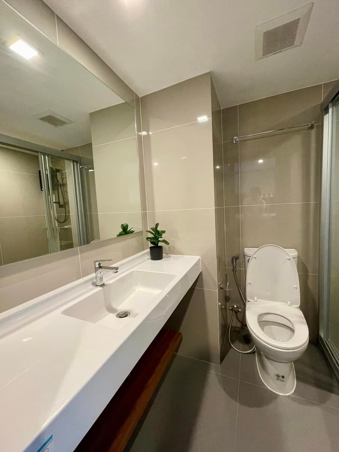  - Image 7