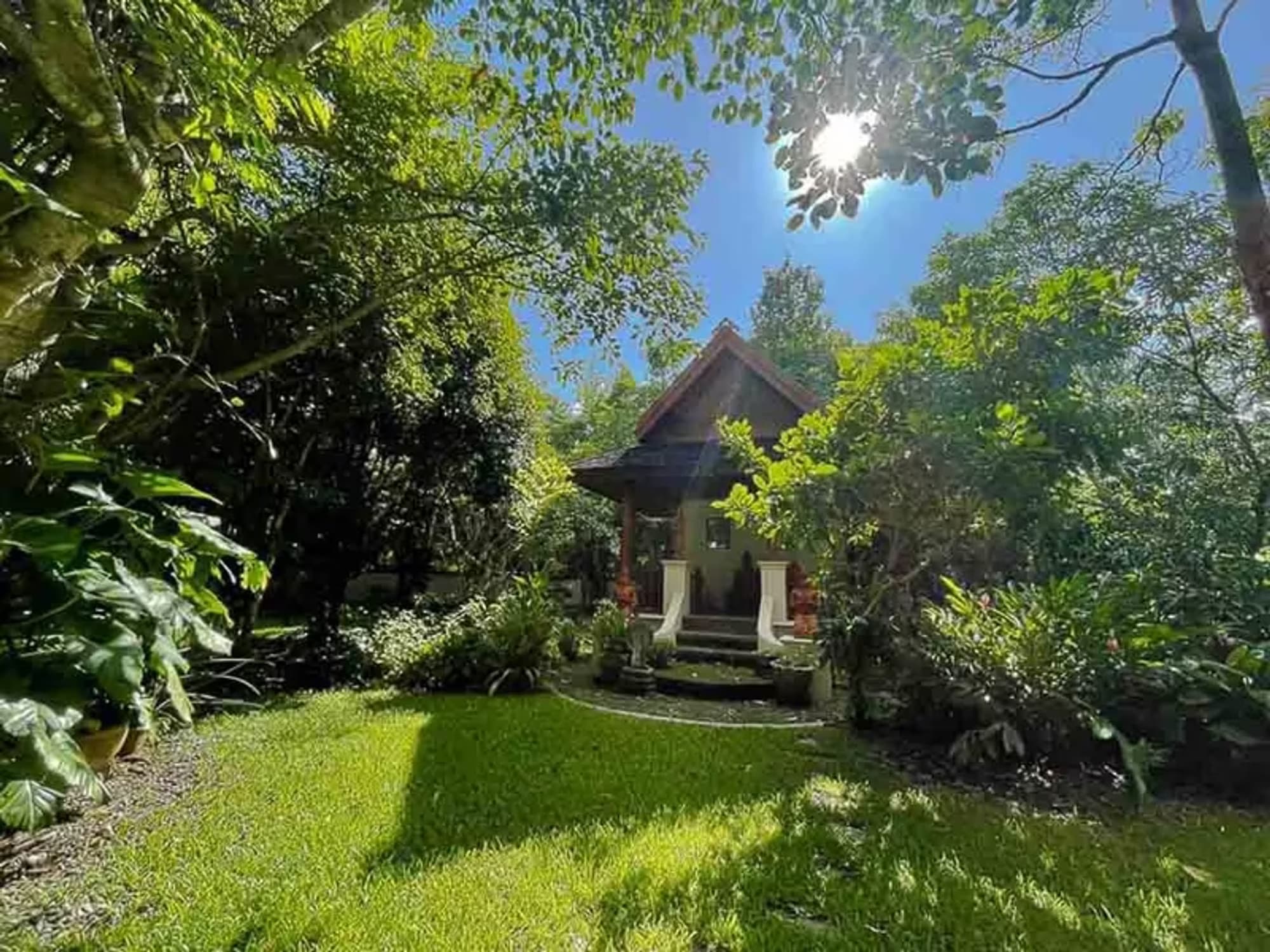 House for Rent in Chang Phueak, Mueang Chiang Mai. - Image 11