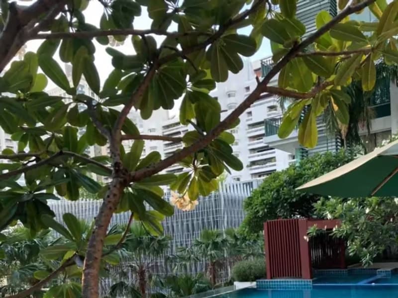 1 Bedroom Condo