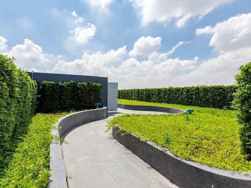 Monte Rama 9