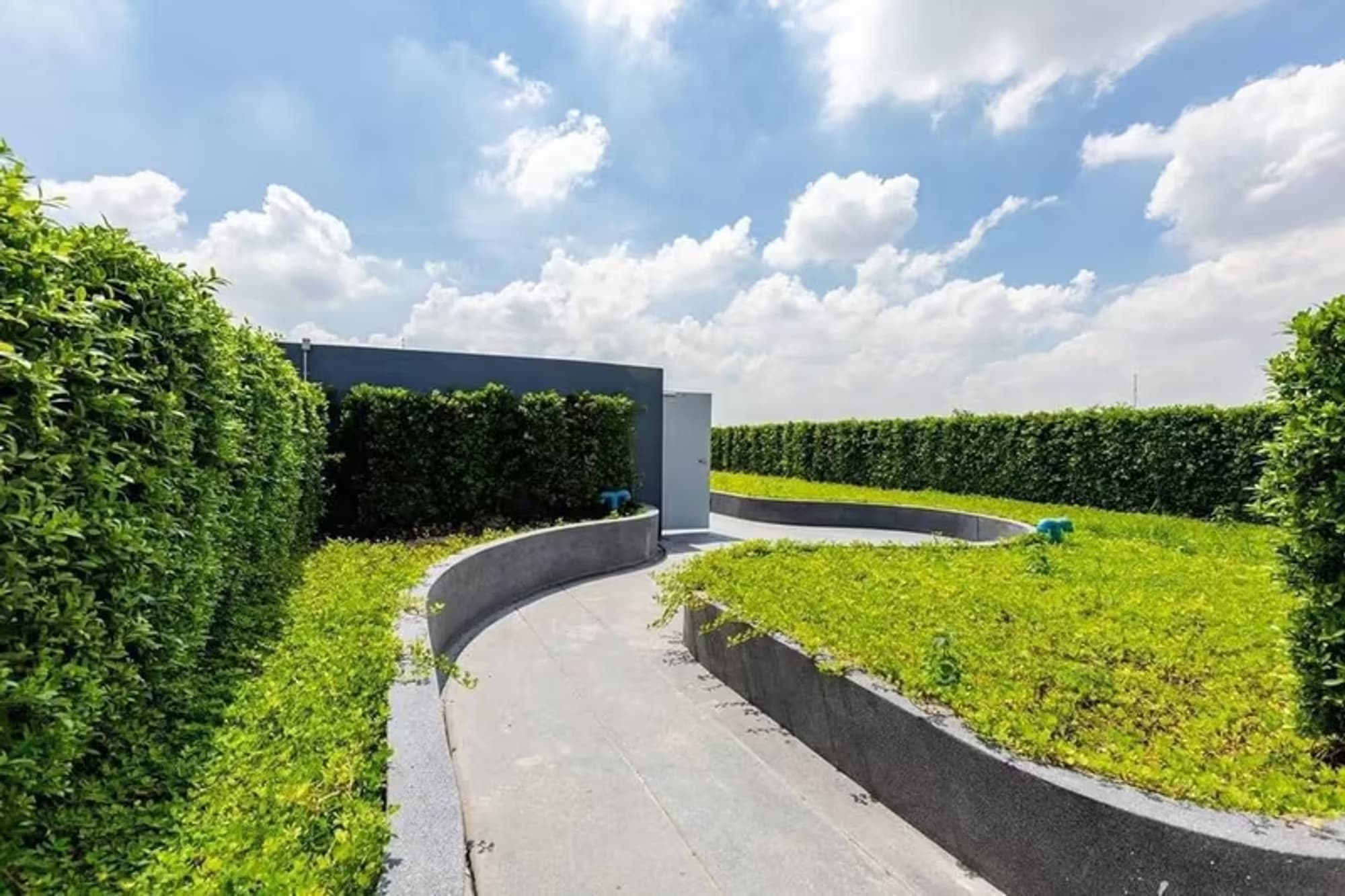 Monte Rama 9 - Image 15