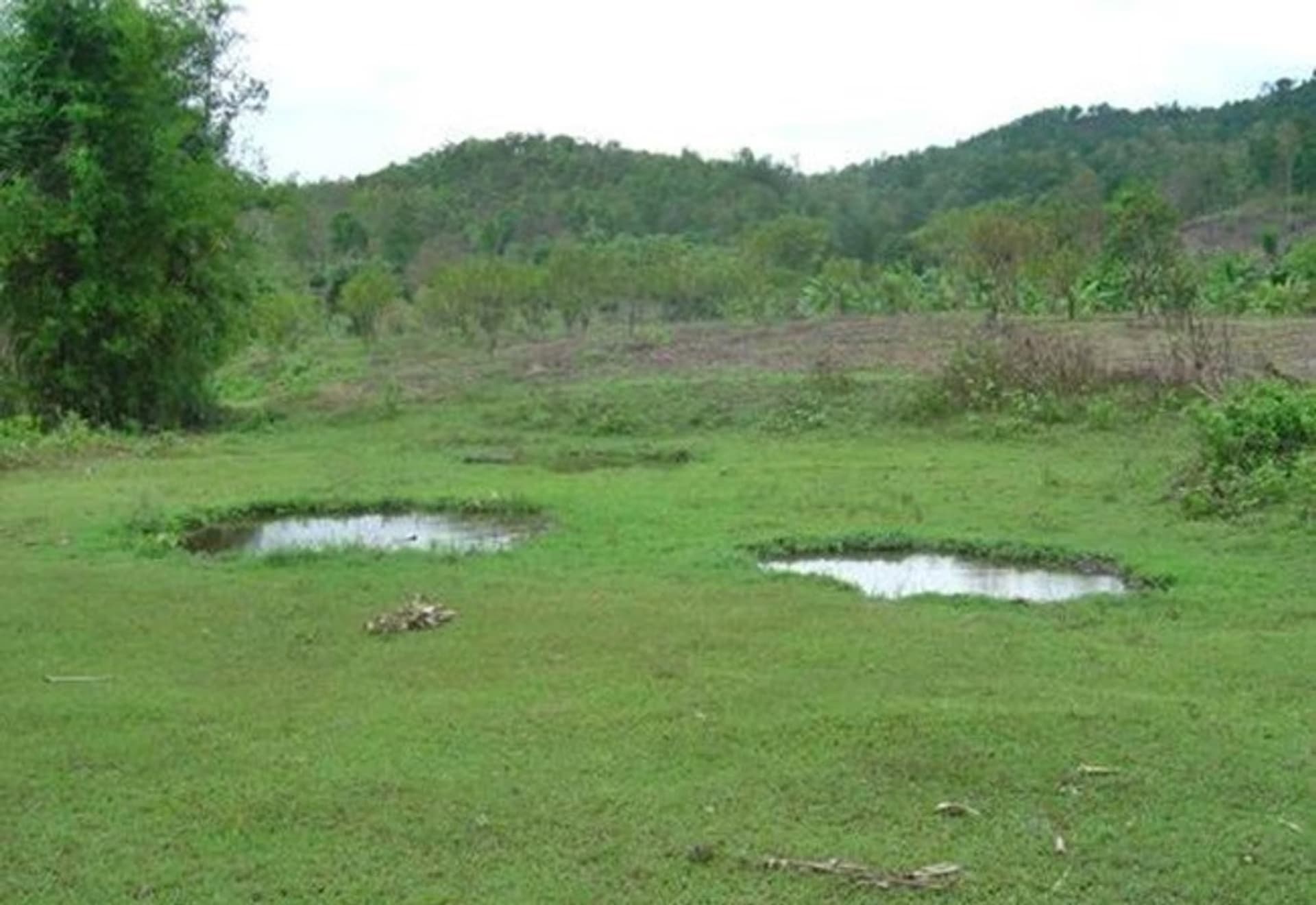  land 用于 出售 在 Mae Taeng District - Image 1