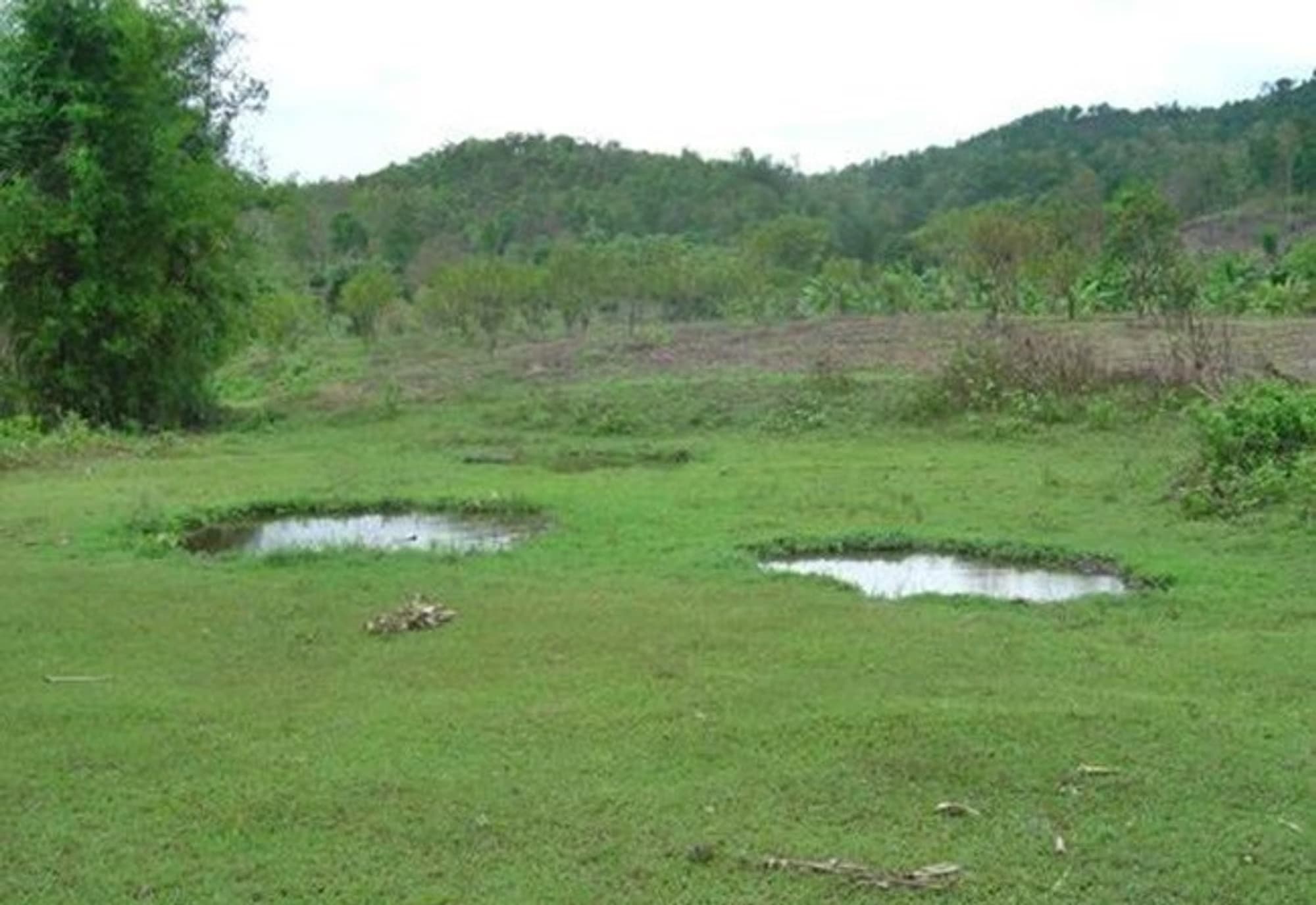  land สำหรับ ขาย ใน Mae Taeng District - Image 1