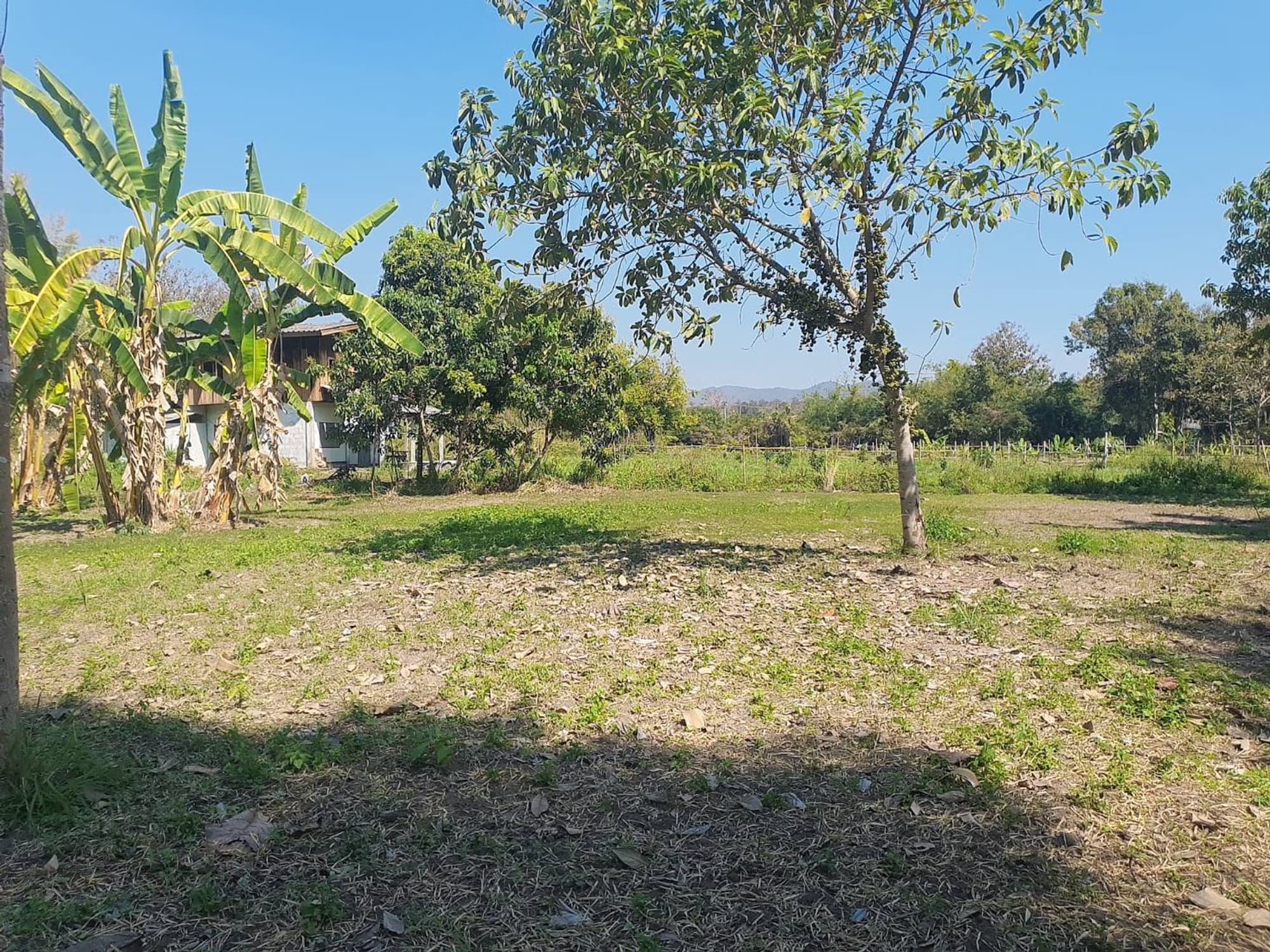  land สำหรับ ขาย ใน อำเภอสันทราย - Image 5