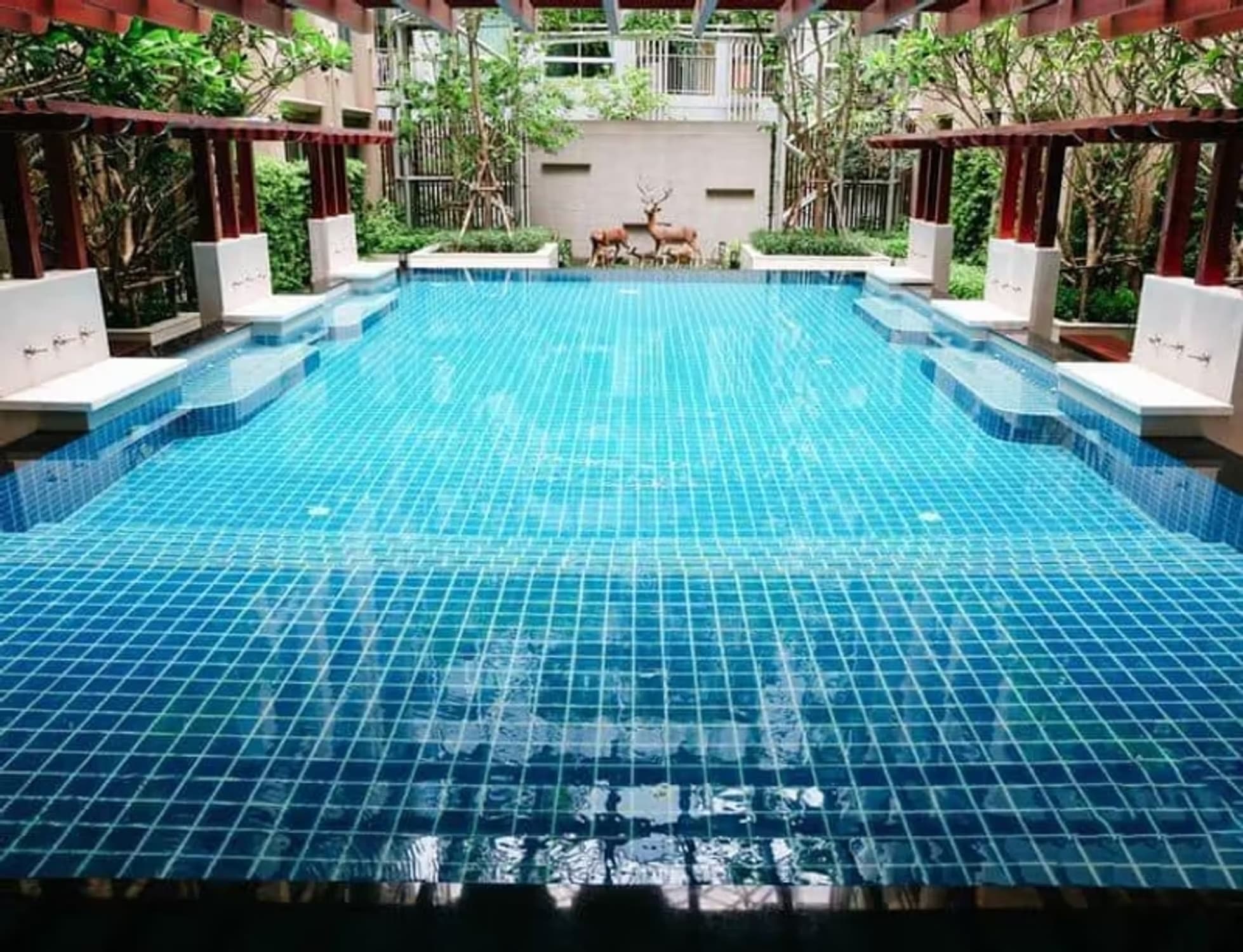 - Image 7