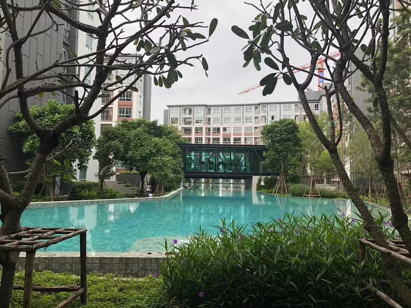 1 Bedroom Condo